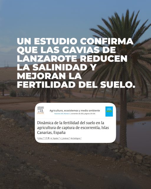 💡 La innovación no solo está en la tecnología, también en rescatar y poner en valor los saberes que hacen posible la agricultura en entornos únicos como Lanzarote. Informarse y conocer estos estudios es clave para entender cómo podemos seguir cultivando futuro.
👩‍🌾 Desde APROLAN trabajamos cada día para que la voz de los agricultores se escuche y para defender la importancia de innovar, investigar y transmitir este conocimiento a las nuevas generaciones.
🌱 Porque el campo lanzaroteño necesita tanto manos que lo trabajen como mentes que lo comprendan.