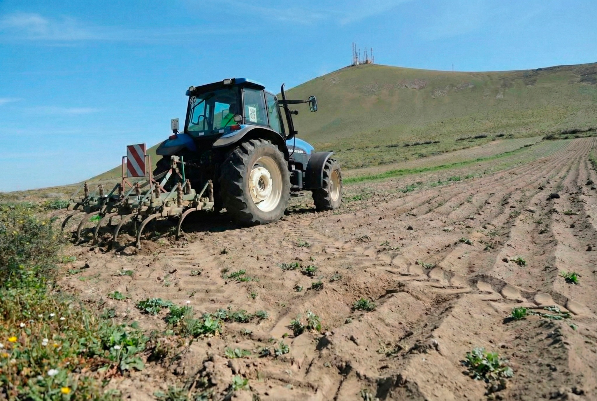 ¿Sabías que en San Bartolomé puedes pedir arado y rastrillado GRATIS para tu finca? 🚜🌱
En 2025 se hicieron 584 actuaciones… y puedes solicitarlo hasta 2 veces al año.
Esto es una forma real de bajar costes, mantener tierras activas y cuidar el paisaje agrícola. 🌋🖤
📍Se solicita presencialmente en Alcaldía, por teléfono con el técnico de Agricultura (ext. 1234) o por email: agricultura@sanbartolome.es
¿Lo conocías? ¿En qué cultivo lo usarías tú? 👇
#Lanzarote #SanBartolomé #SectorPrimario #AgriculturaCanaria #campolanzarote 
Noticia: Lanzelot Digital